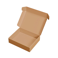 Mailer Box